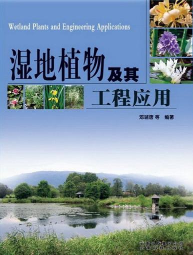 Wetland Plants and Engineering Applications