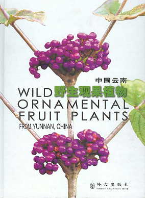 Wild Ornamental Fruit Plants from Yunnan China