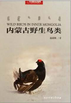 Wild Birds in Inner Mongolia