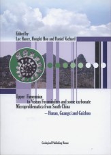Upper Famennian to Visean Foraminifers and Some Carbonate Microproblematica from South China -Hunan,Guangxi and Guizhou