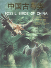 Fossil Birds of China