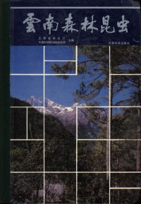 Forest Insects of Yunnan