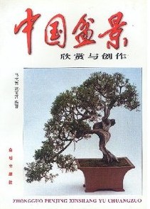 Appreciation and Creation of Chinese Penjing