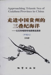Approaching Triassic Sea of Guizhoui in China - The Selected Pictures of Fossils and Karst Landforms 