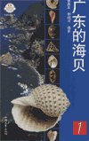 Guangdong De Haibei (Vol.1)(Seashells of Guangdong) 