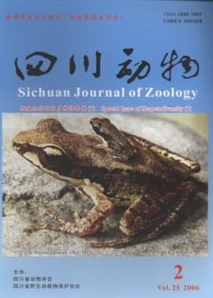 Sichuan Journal of Zoology (Vol.25, No.2, 2006) Special Issue of Herpetodiversity (7)