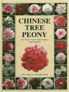 Chinese Tree Peony