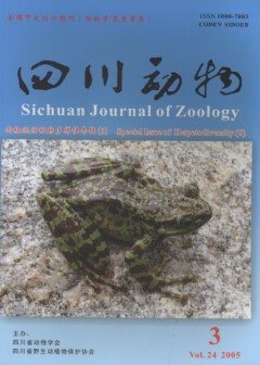 Sichuan Journal of Zoology (Vol.24, No.3, 2005) Special Issue of Herpetodiversity (6) 