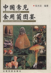 Illustration for China Popular Edible Mushroom