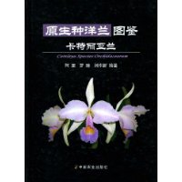 Cattleya Species Orchidacearum（Out of Print)
