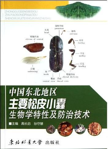 Biological Characteristics  And Prevention Technology of the Main Slack Skin Bark Beetle in the Northeast China