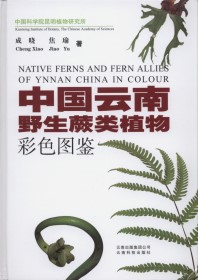 Native Ferns and Fern Allies of Yunnan China in Colour
