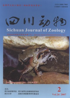 Sichuan Journal of Zoology (Vol.26, No.2, 2007) Special Issue of Herpetodiversity (8) 