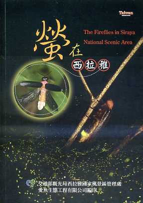 The Fireflies in Silaya National Scenic Area