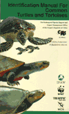 Identification Manual for Common Turtles and Tortoises