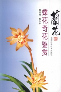 Orchid Appreciation Series -Appreciation of Butterfly-Like and Special Orchids