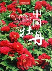 Tree Peony of China