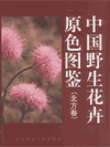 Primary Colour Illustration of Wild Flowers of China (Northern Volume)