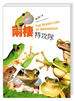 The Secret Life of Amphibian
