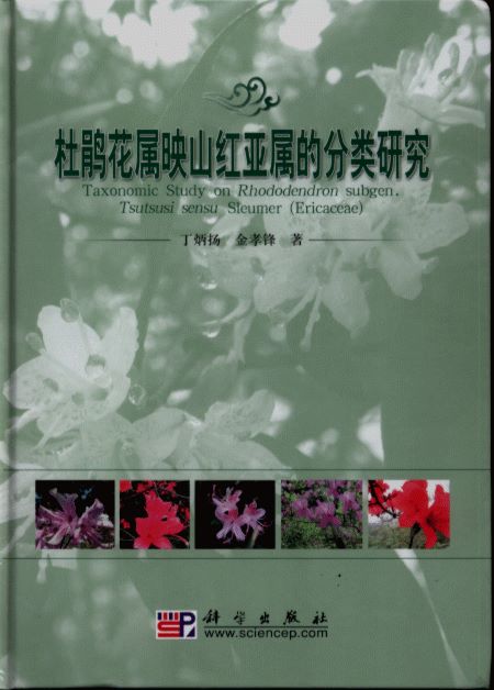 Taxonomic Study on Rhododendron subgen. Tsutsusi sensu Sleumer (Ericaceae) (Supported by the National Natural Science Foundation of China)