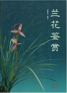 Appreciation of Orchid