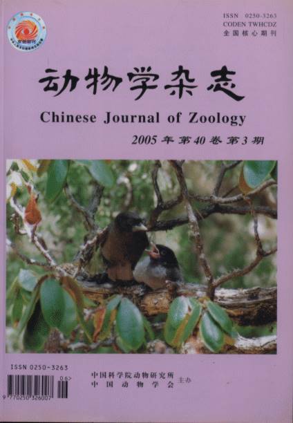 Chinese Journal of Zoology (Vol.40, No.3)