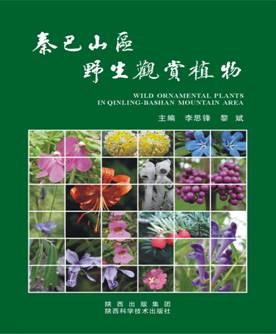 Wild Ornamental Plants in Qinling-Bashan Mountains Area