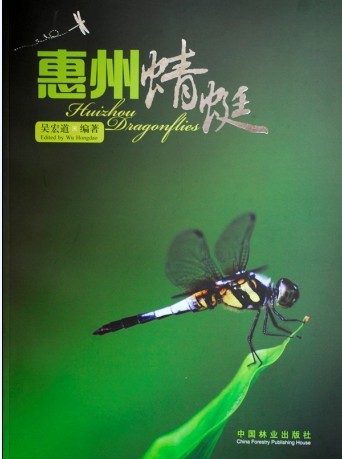 Huizhou Dragonflies
