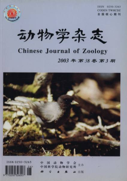 Chinese Journal of Zoology (Vol.38, No.3)