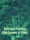 Rare And Precious Wild Flowers of China(1)