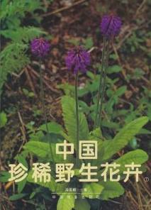 Rare And Precious Wild Flowers of China