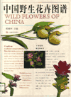 Wild Flowers of China