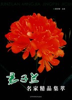 Clivia Collection(JUN ZI LAN MING JIA JING PIN JI CUI)
