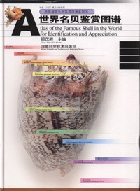 Atlas of the Famous Shells in the World for Identification and Appreciation