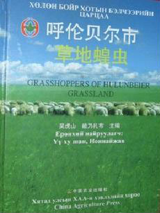 Grasshoppers of Hulunbeier Gradssland