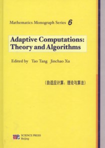 Adaptive Computations: Theory and Algorithms-Mathematics Monograph Series 6