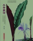 Botanical Paintings of Chinese Zingiberales