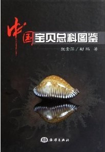 Cowries and Their Relatives of China