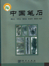 Fossil Graptolites of China
