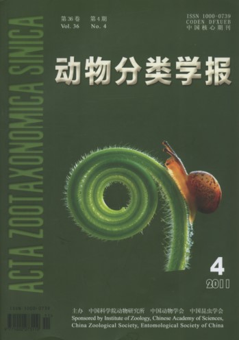 Acta Zootaxonomica Sinica (Vol.36, No.4, 2011)