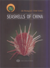Seashells of China