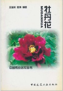 Peony（Mu Dan Hua)