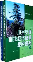 Atlas of Wild Economic Plants in Xiao Hinggan Ling, China 
