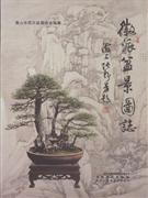 The Atlas of Huizhou's Bonsai