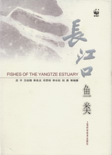 Fishes of the Yangtze Estuary