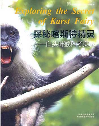 Exploring the Secret of Karst Fairy