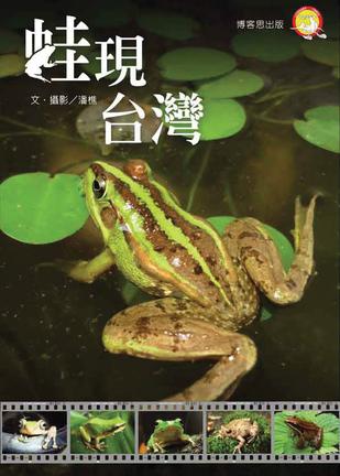 Frogs in Taiwan