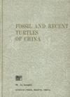 Fossil and Recent Turtles of China(Ebook)