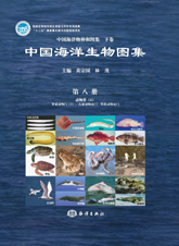An Illustrated Guide To Species in China’s Seas (Vol.8) - Animalia (6): Chordata (2): Cephalochordata Vertebrata