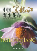 Wildflowers in Heilongjiang,China